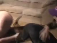 sacree fille plein de chienne
